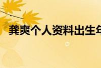 龚爽个人资料出生年月日（龚爽个人简历）