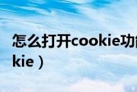 怎么打开cookie功能 iPhone（怎么打开cookie）