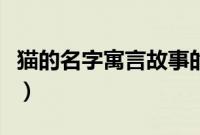 猫的名字寓言故事的道理（猫的名字寓言故事）