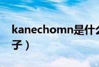 kanechomn是什么牌子（kanken是什么牌子）