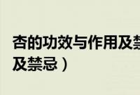 杏的功效与作用及禁忌人群（杏的功效与作用及禁忌）
