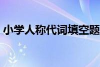 小学人称代词填空题（人称代词练习题小学）