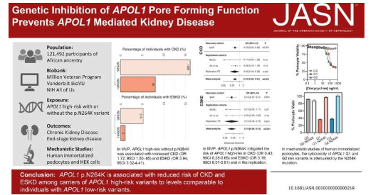 发现肾脏疾病基因也有保护性突变
