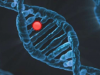癌症基因组中突变冷点的表征