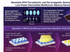 增强存储技术：用于低功耗磁存储的多铁性纳米点