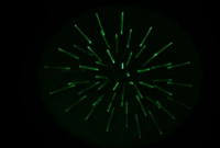 科学家发现二氧化碳含量较高会增加病在空气中的存活率和传播风险