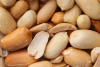 研究发现给婴儿喂食花生制品可预防青春期过敏
