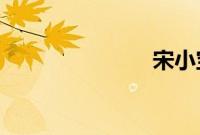 宋小宝什么病