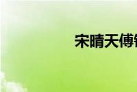 宋晴天傅锦琛免费阅读