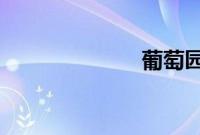葡萄园的那男子