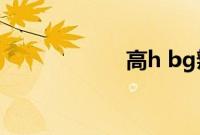 高h bg辣文 书包网