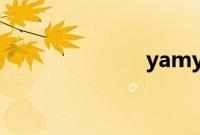 yamy朋友发声