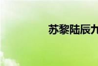 苏黎陆辰九免费全文阅读