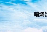 暗烧(沙雕高干)