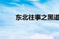 东北往事之黑道风云20年在线观看