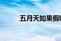 五月天如果假唱最高或被罚10万