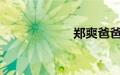 郑爽爸爸微博评论