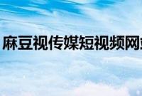 麻豆视传媒短视频网站-入口2021仙踪林免费