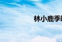 林小鹿季曜珉免费阅读
