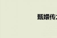 甄嬛传之沉浮一生