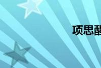 项思醒ppt65页