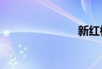新红楼梦下载