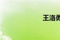 王洛勇的电视剧
