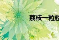 荔枝一粒粒的往里放惩罚