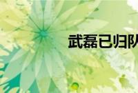 武磊已归队西班牙人训练