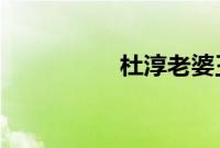 杜淳老婆王灿个人资料