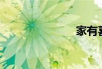 家有喜事2011