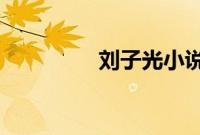 刘子光小说全文免费阅读