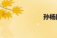 孙杨回击霍顿
