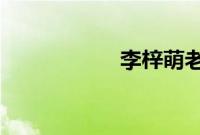李梓萌老公中央常委
