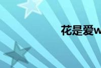 花是爱what is love