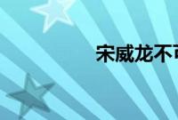 宋威龙不可能是99年的