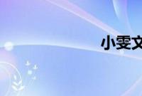 小雯文网红事件