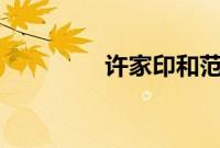 许家印和范冰冰照片 关系
