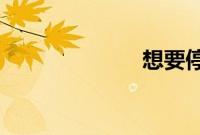 想要停止的瞬间