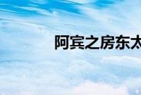 阿宾之房东太无删减全文阅读