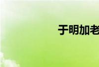 于明加老公是谁 现任