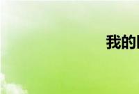 我的区长父亲