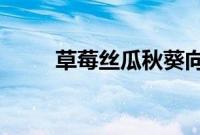 草莓丝瓜秋葵向日葵榴莲苹果大全