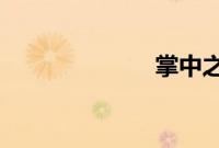 掌中之物大结局