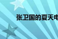 张卫国的夏天电视剧在哪个台播出