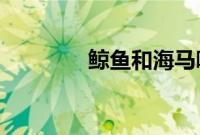 鲸鱼和海马哪个是真正的鱼