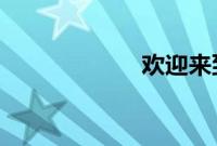 欢迎来到精灵之森