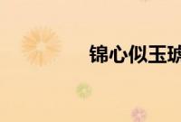锦心似玉琥珀的姐姐是谁