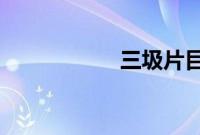 三圾片目录大全下载