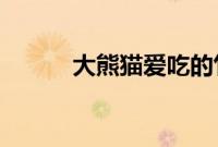 大熊猫爱吃的竹子实际上是什么